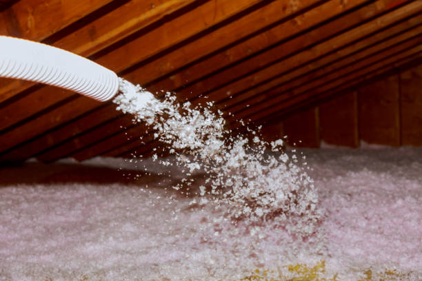 Best Affordable Insulation Services  in Pilot Point, TX