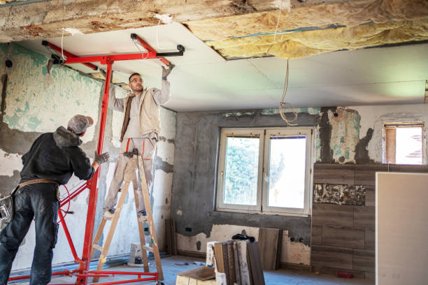 Best Attic Insulation Installation  in Pilot Point, TX