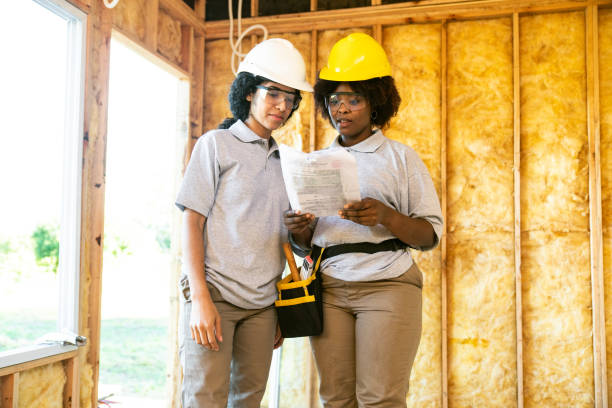 Best Wall Insulation Contractor  in Pilot Point, TX