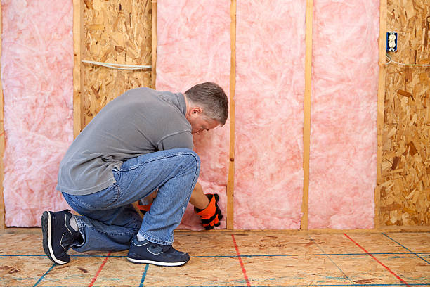 Best Blown-in Insulation  in Pilot Point, TX