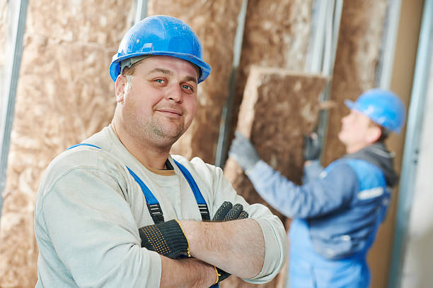 Best Insulation Replacement Services  in Pilot Point, TX