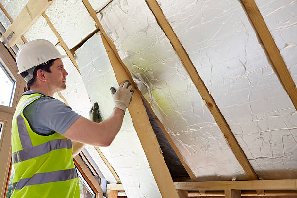 Best Insulation for New Construction  in Pilot Point, TX